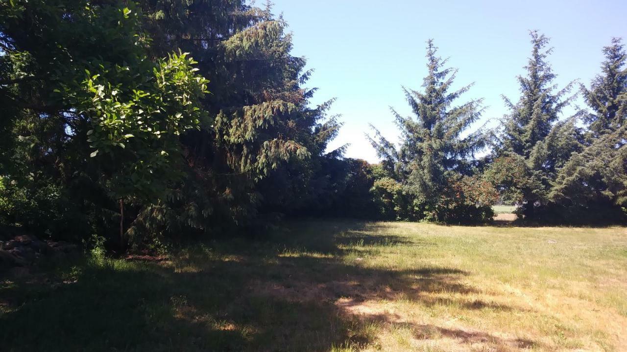 Ferienwohnung Urlaub bei Hauenstein Born Exterior foto