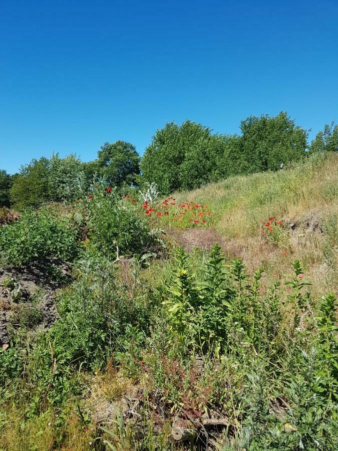 Ferienwohnung Urlaub bei Hauenstein Born Exterior foto