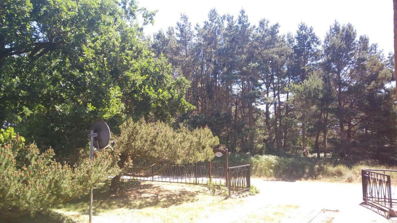 Ferienwohnung Urlaub bei Hauenstein Born Exterior foto