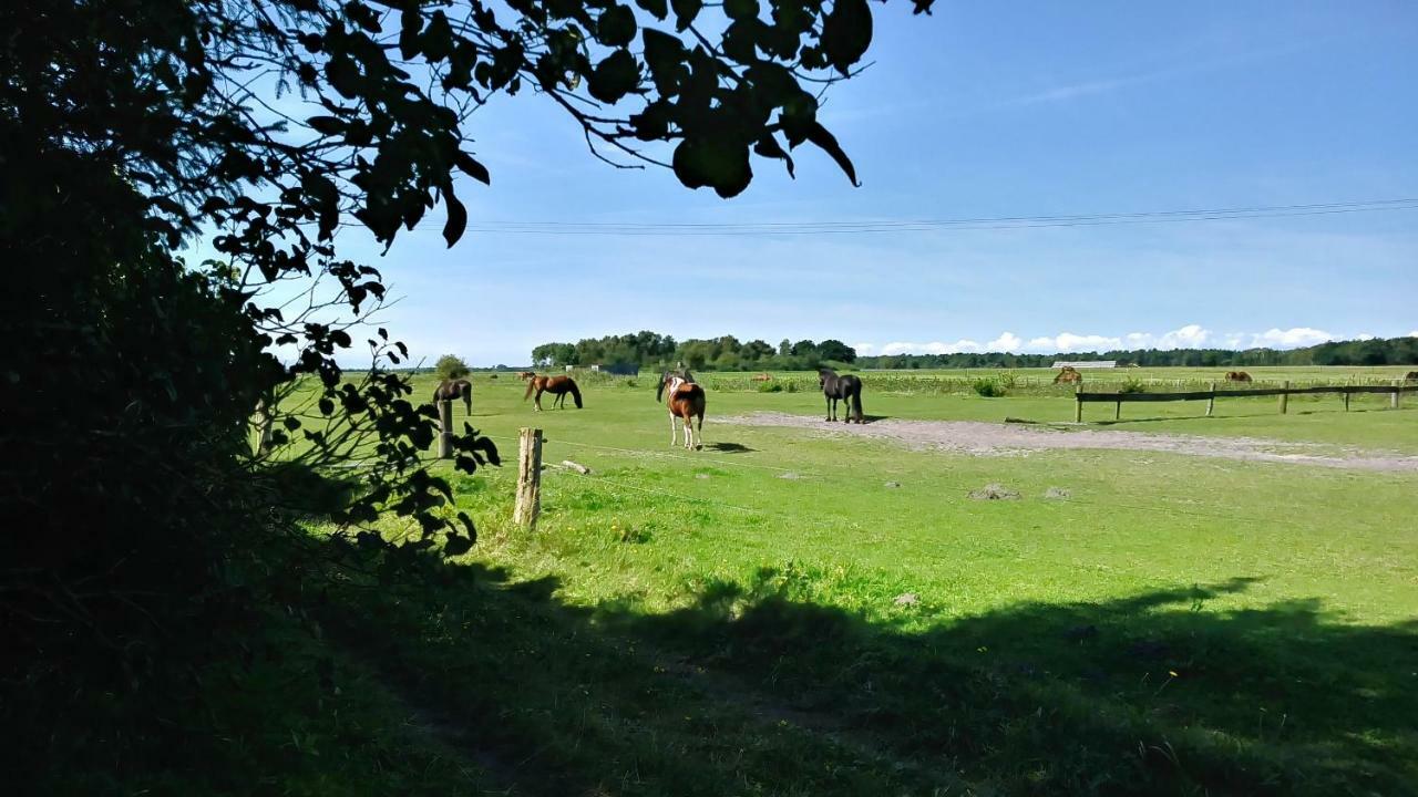 Ferienwohnung Urlaub bei Hauenstein Born Exterior foto
