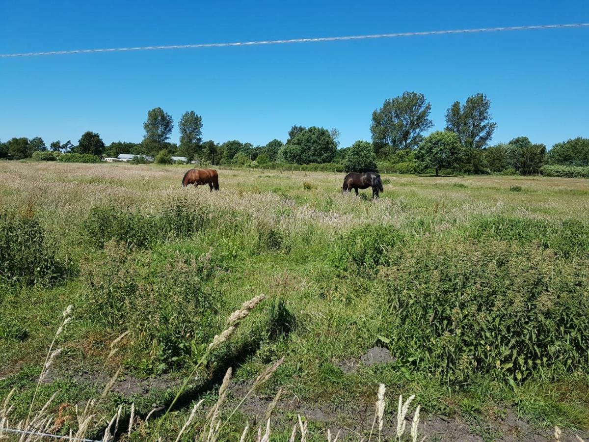 Ferienwohnung Urlaub bei Hauenstein Born Exterior foto