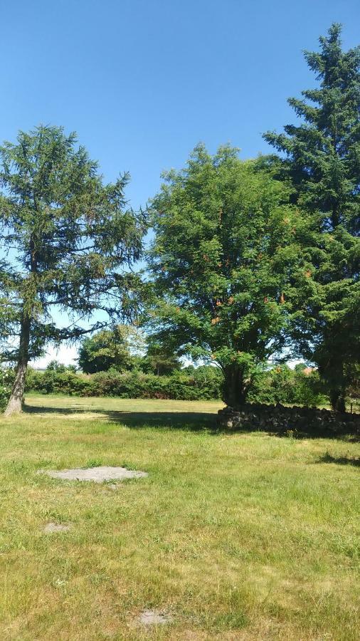 Ferienwohnung Urlaub bei Hauenstein Born Exterior foto