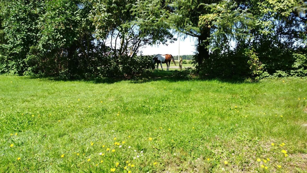 Ferienwohnung Urlaub bei Hauenstein Born Exterior foto