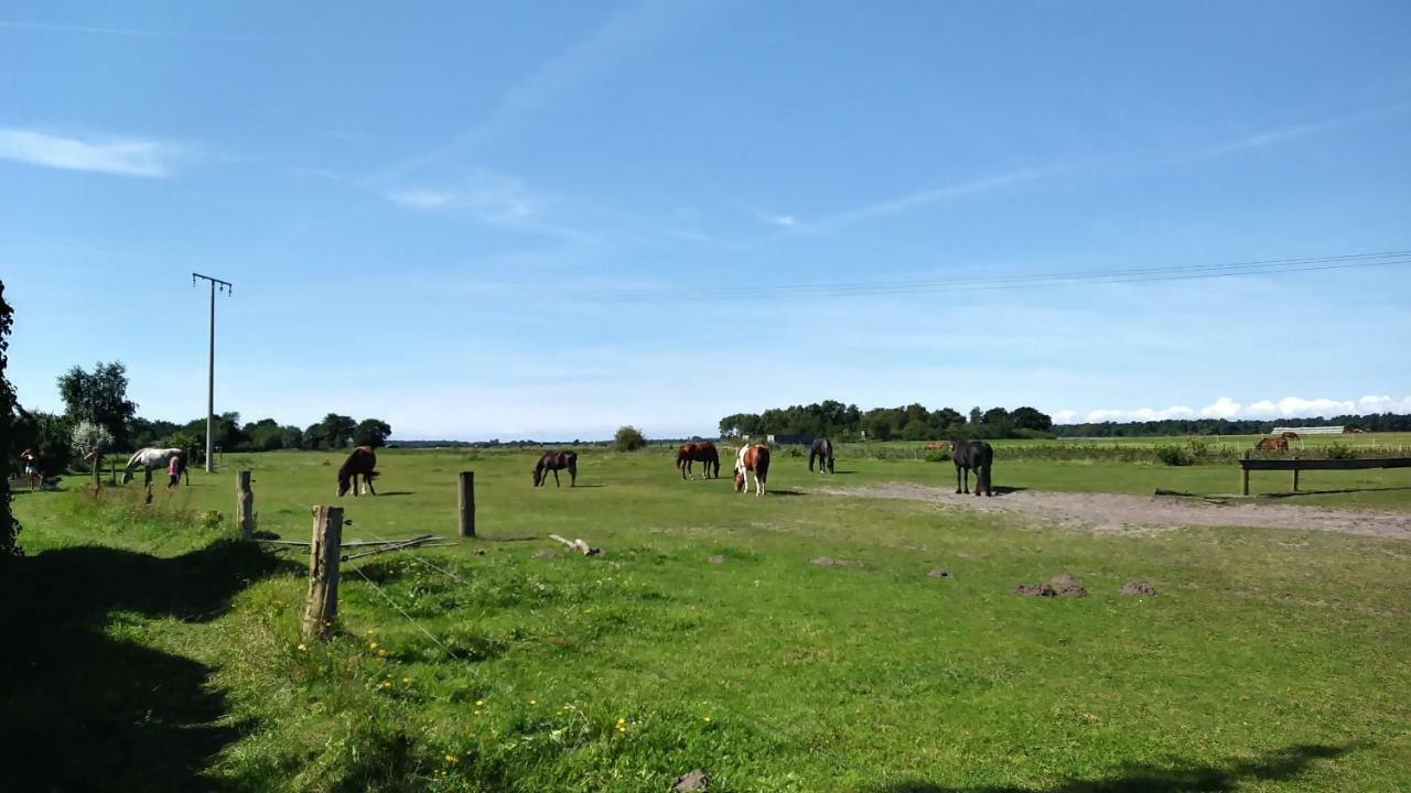 Ferienwohnung Urlaub bei Hauenstein Born Exterior foto
